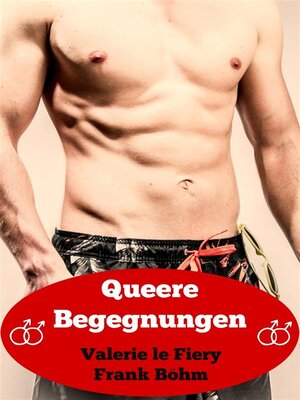 cover image of Queere Begegnungen